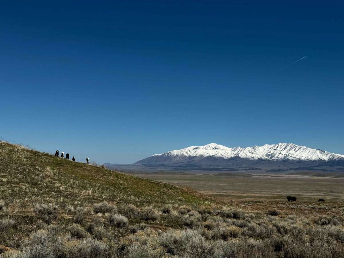 Davis Mountain Loop trail photo