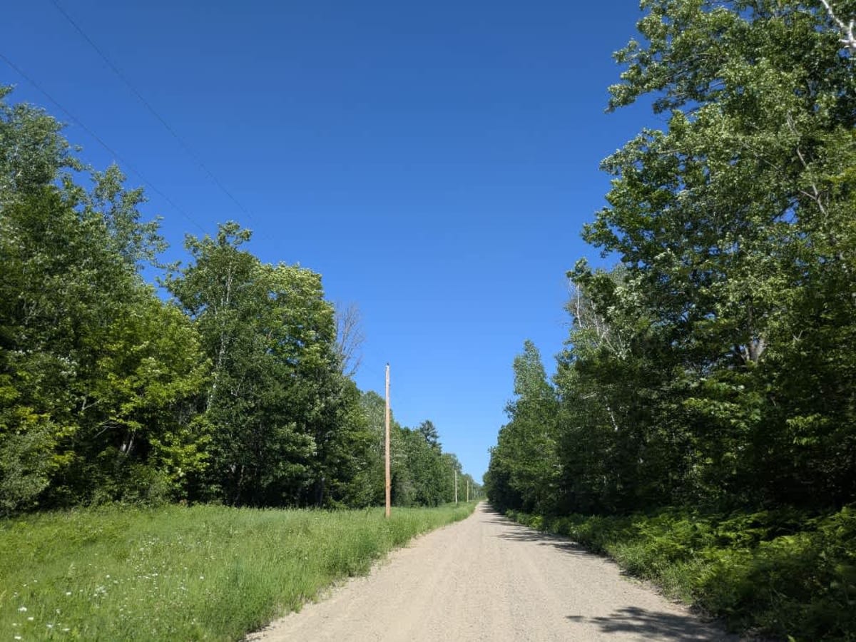 Warner Drive trail photo