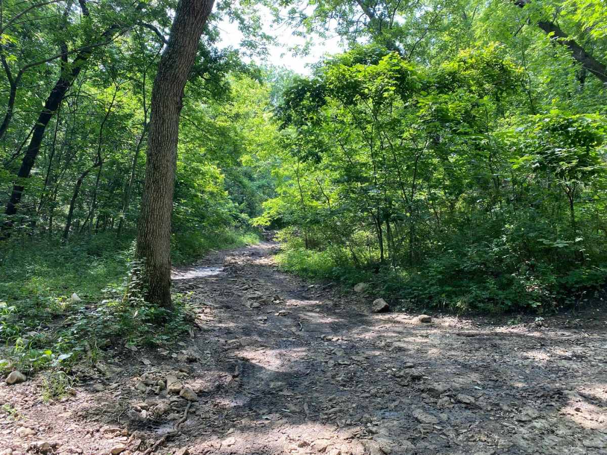 No Name Green trail photo