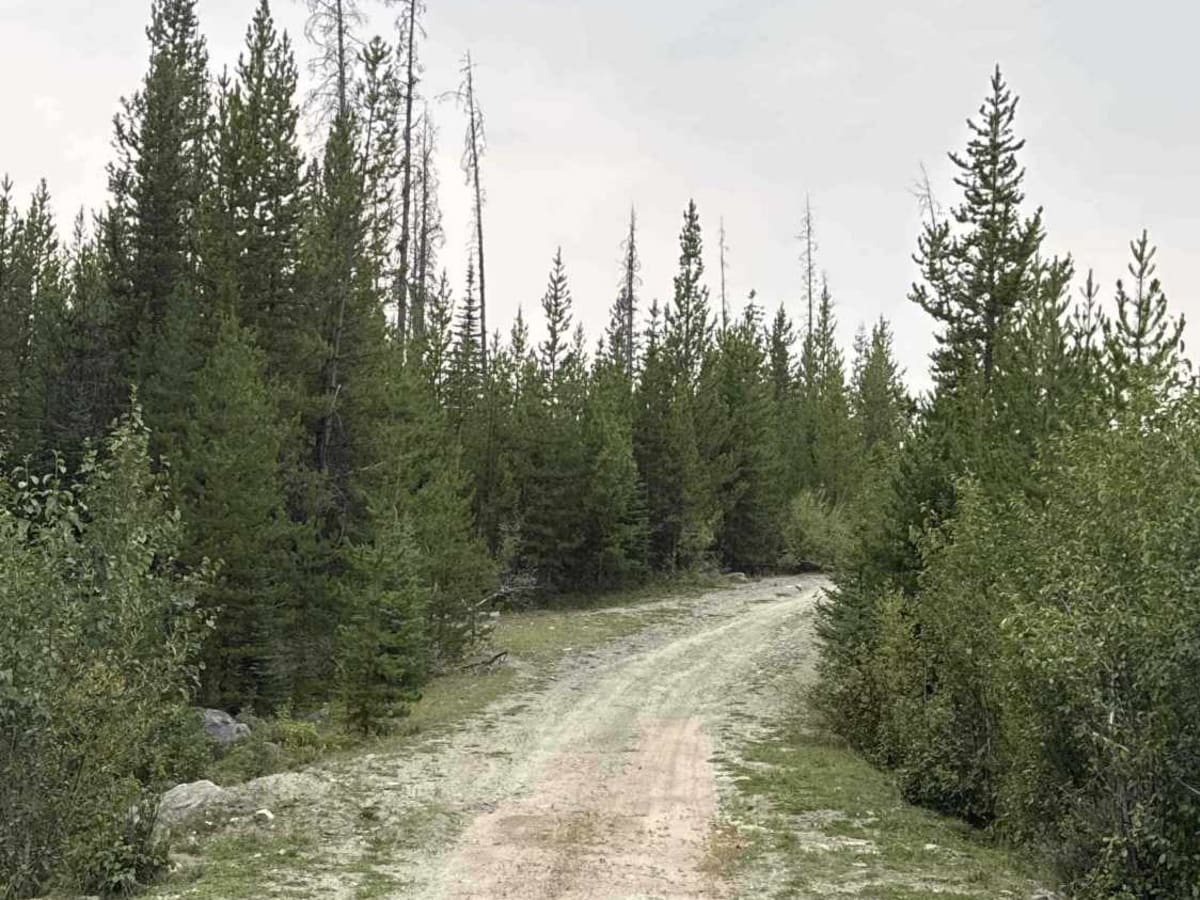 Rat Lake Road photo 5