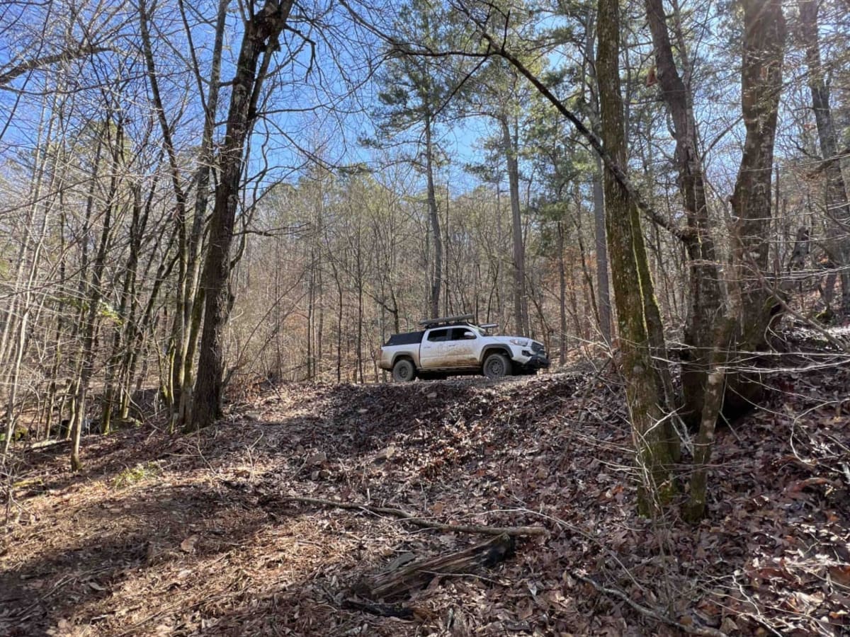 Hollis Trail 174 photo 5