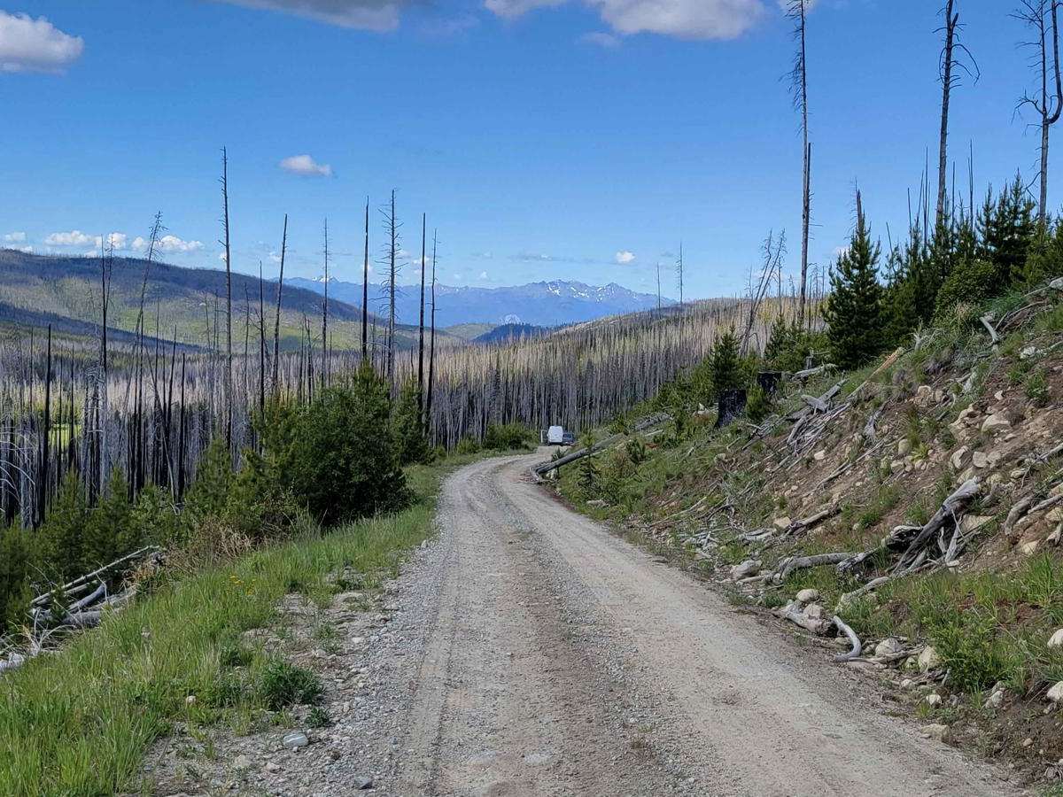 NF 39 (South) - Meadows-Toats trail photo