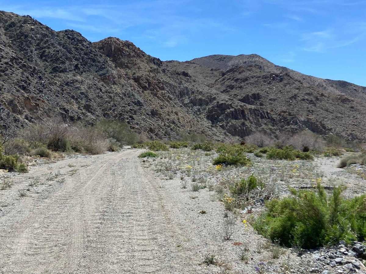 Pinkham Canyon to Thermal Canyon Trail photo 4