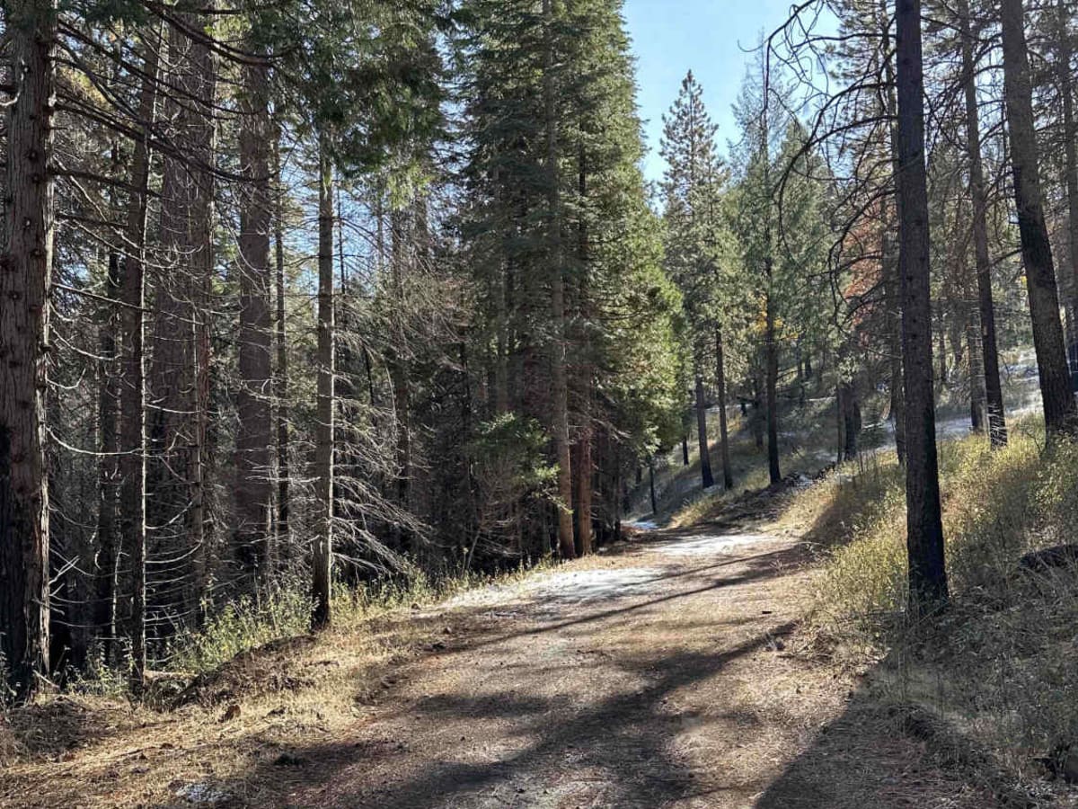 Upper Gold Note trail photo