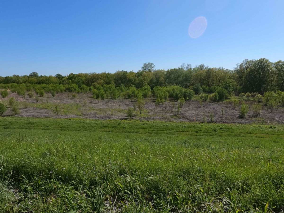 Big Muddy Levee Road photo 4
