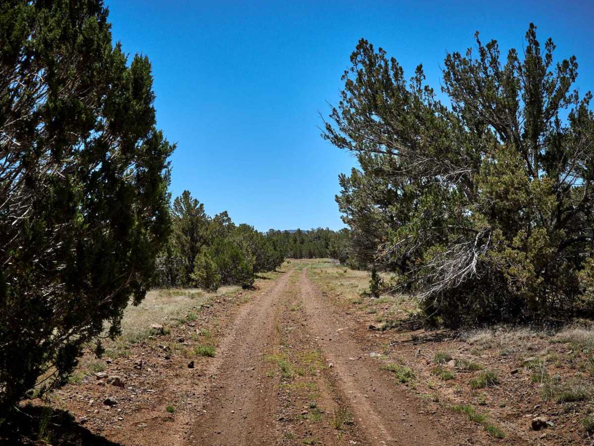 Old 84 Road photo 3