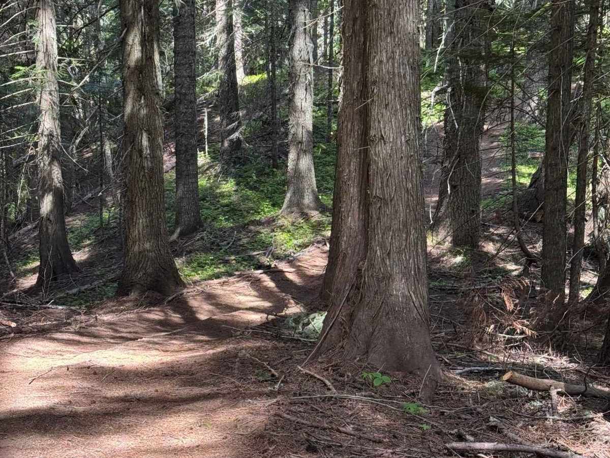 Partridge Creek OHV Trail 8290 photo 4