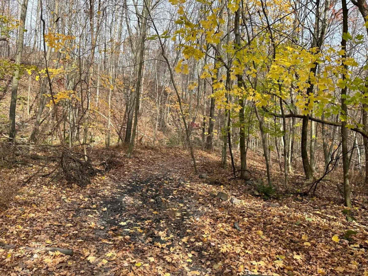 Ashland 149 photo 2