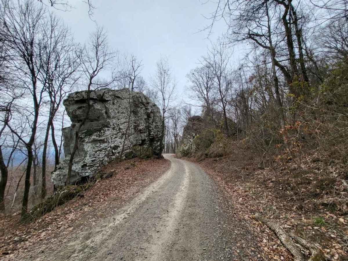 White Rock Mountain - East trail photo