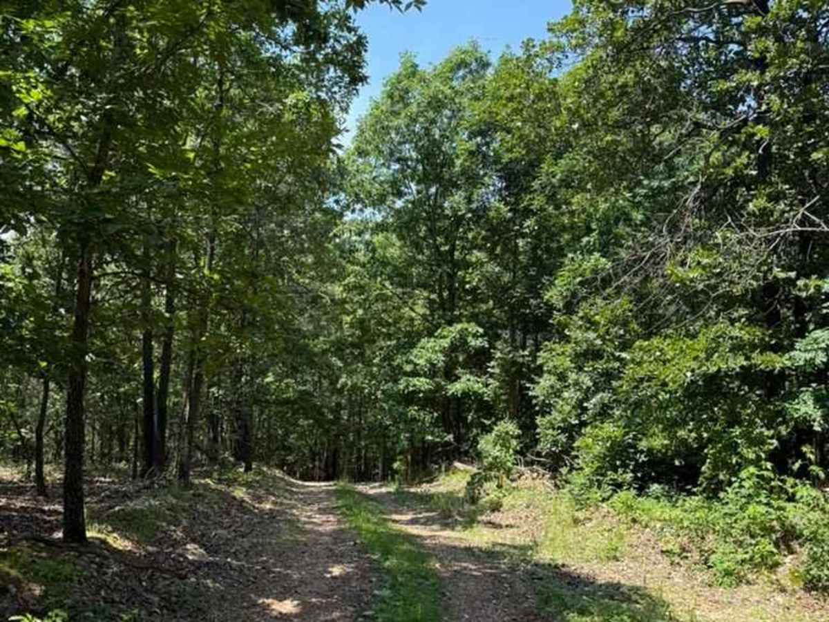 Kyler's Trail photo 3