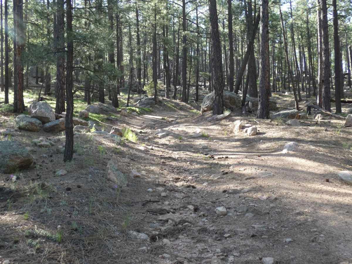 San Geronimo Back Road photo 4