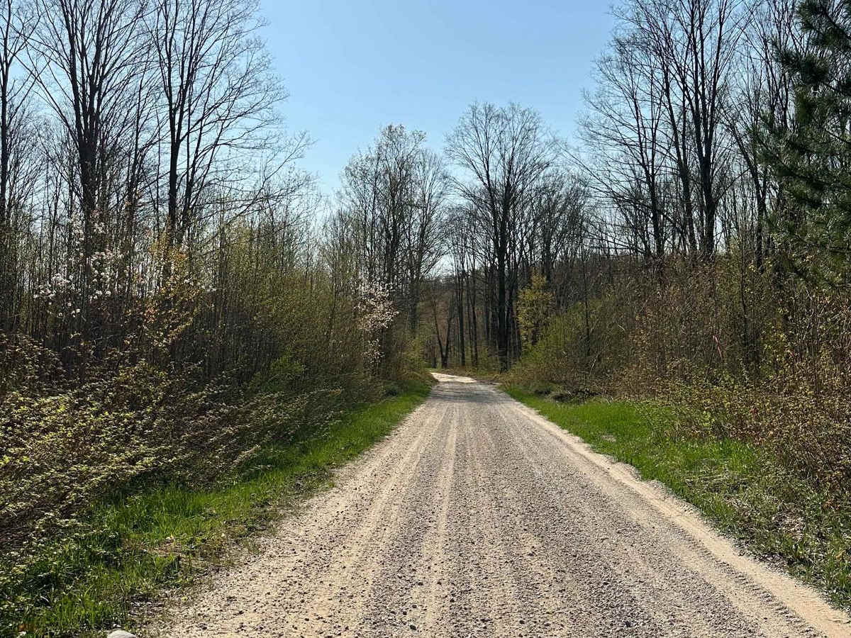 Cadillac Area ORV/OHV Scenic Ride - Part 9 photo 4