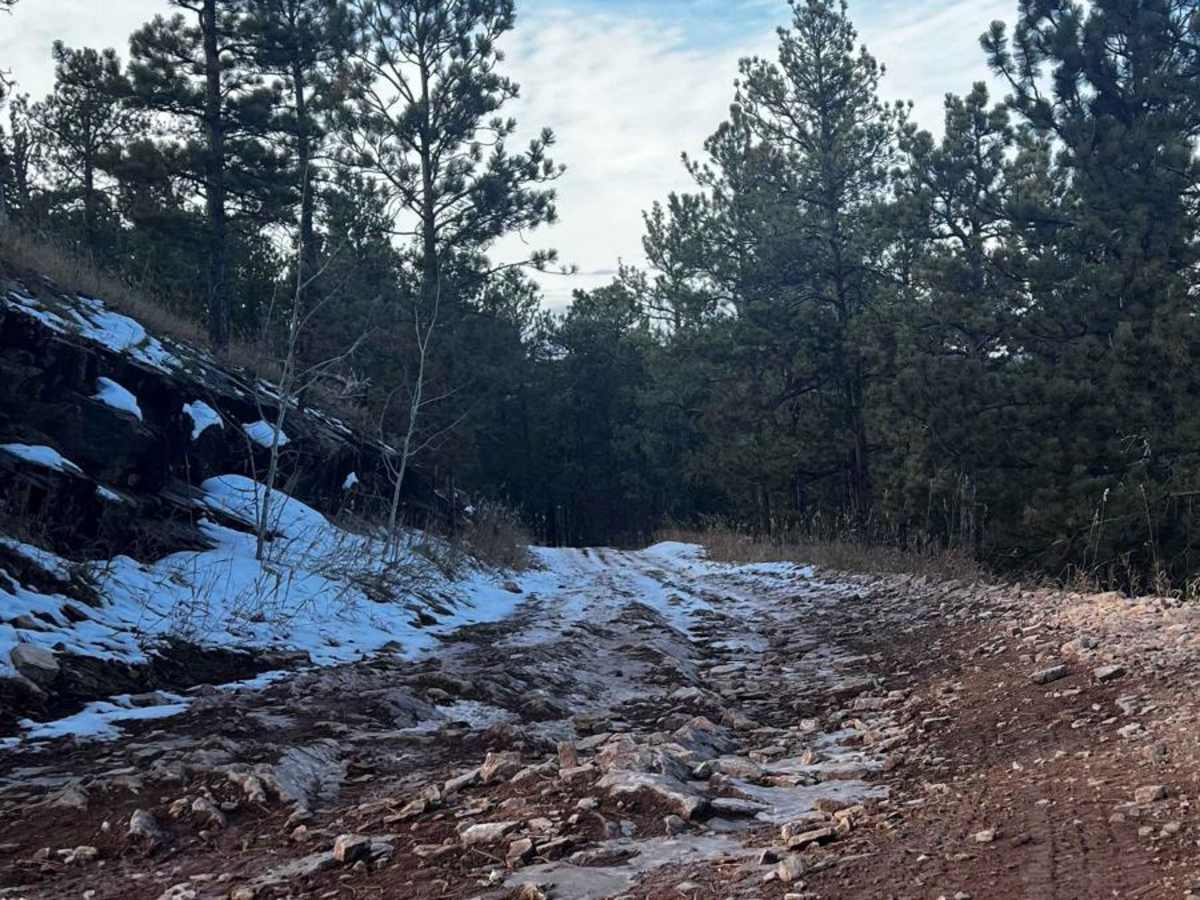 Piedmont To Nemo Trail photo 6