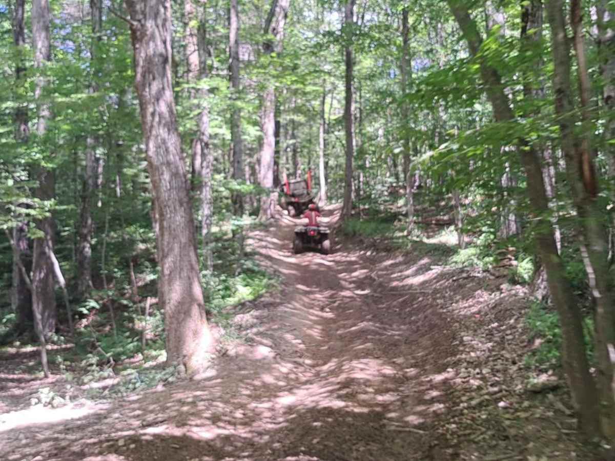 Bear Path 2 photo 3