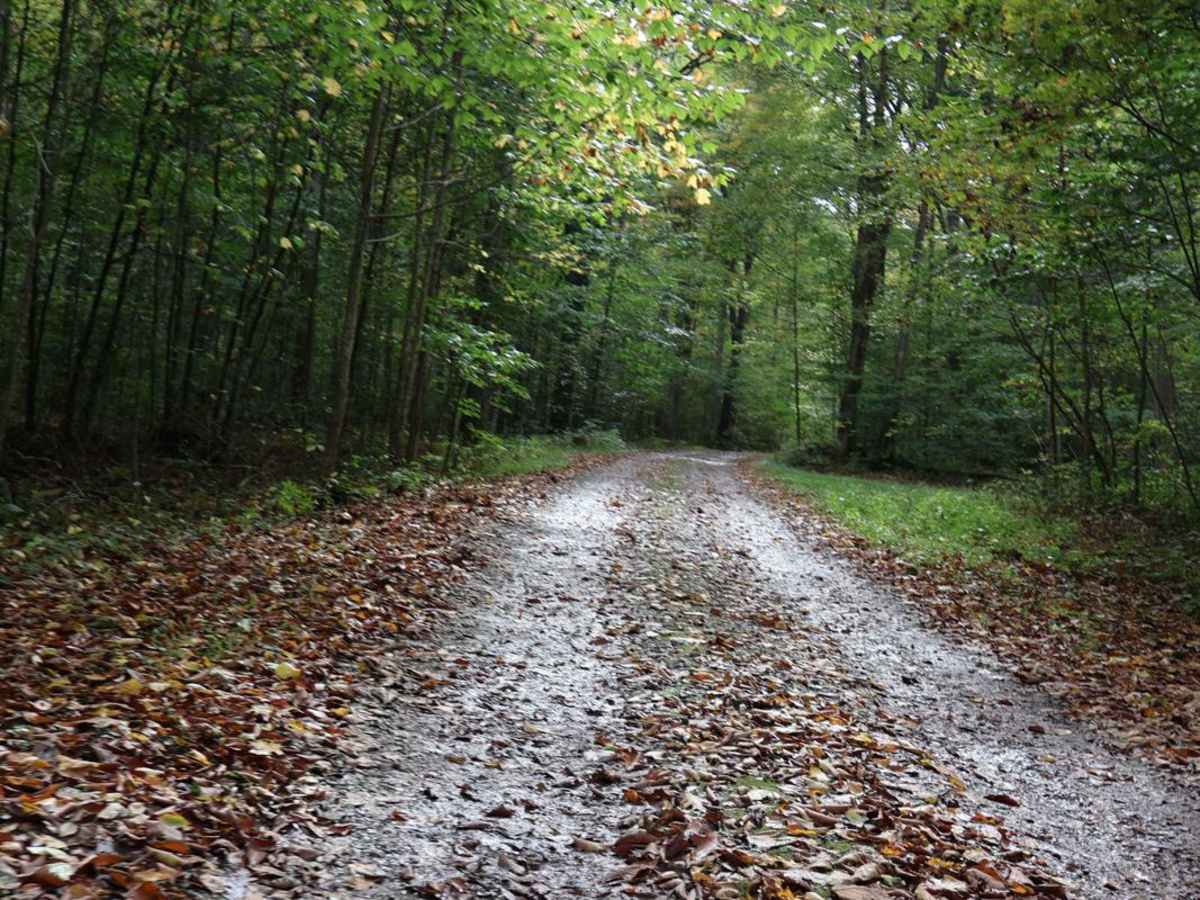 Cucumber Road Loop trail photo