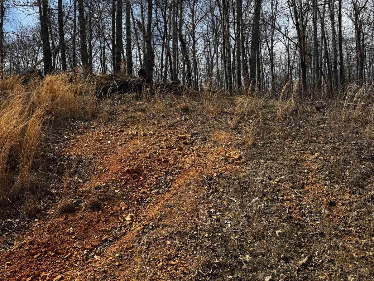 Hillside Track 3 photo 3