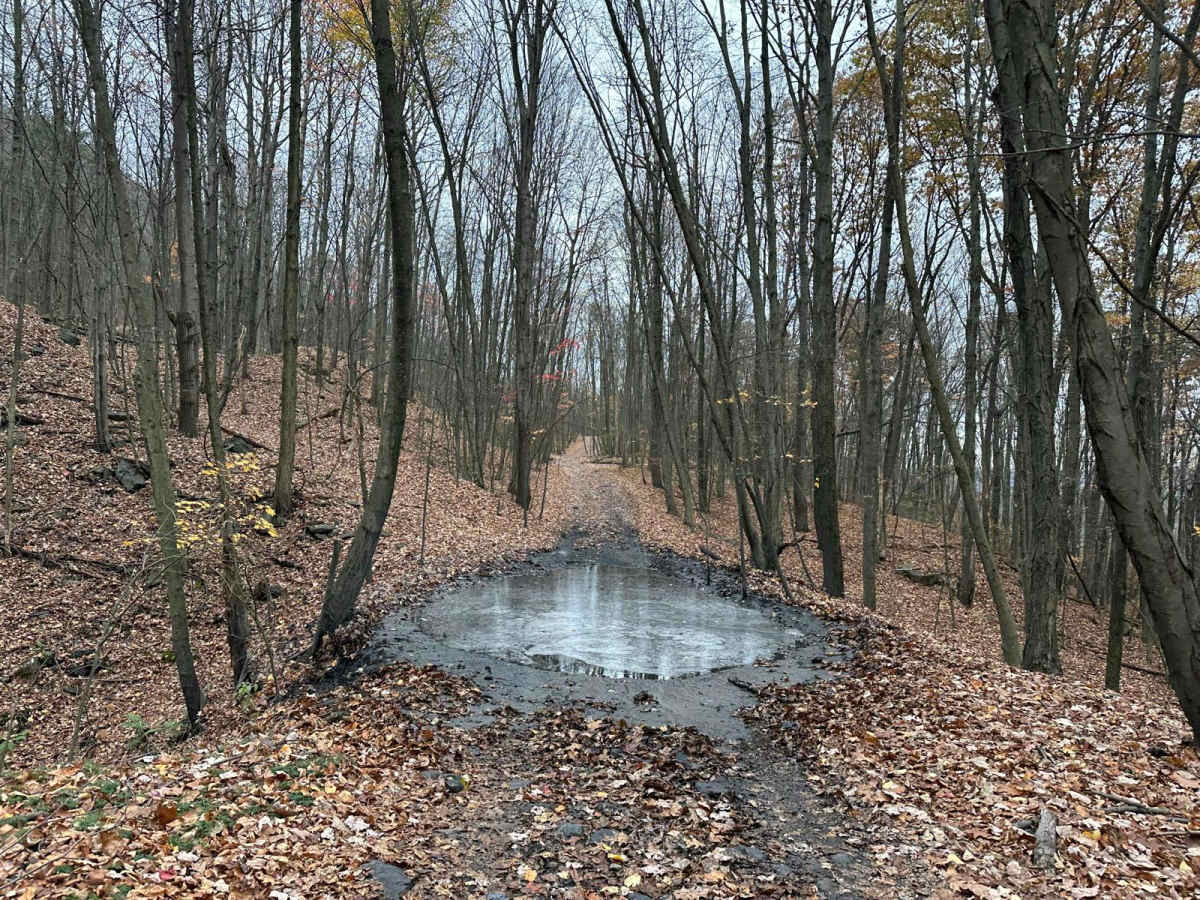 114 trail photo