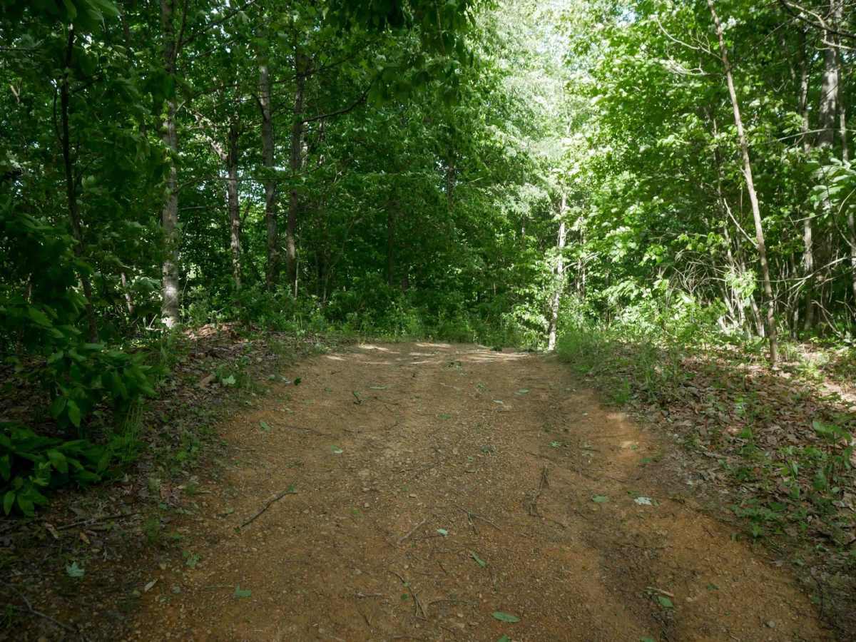 RV3 photo 6