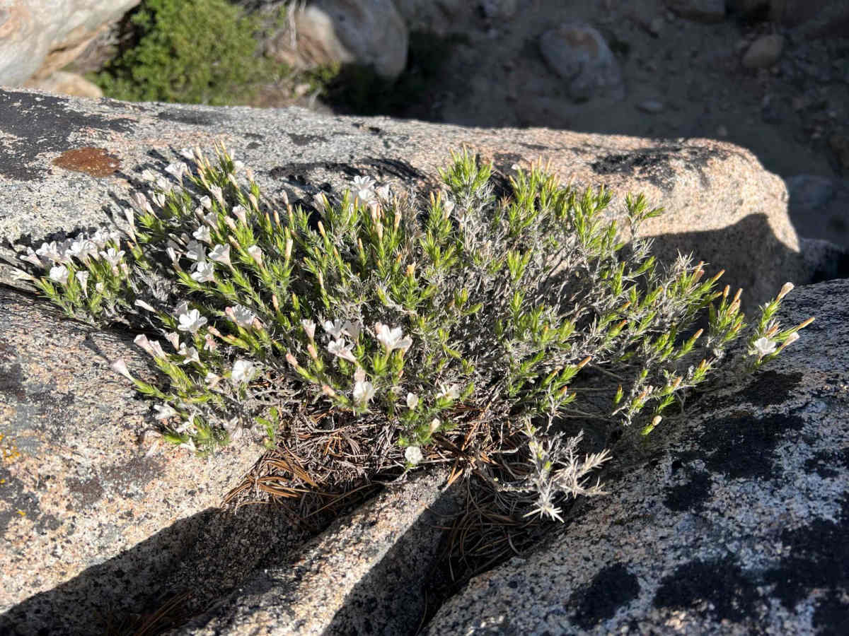 Bald Mountain Overlook photo 5
