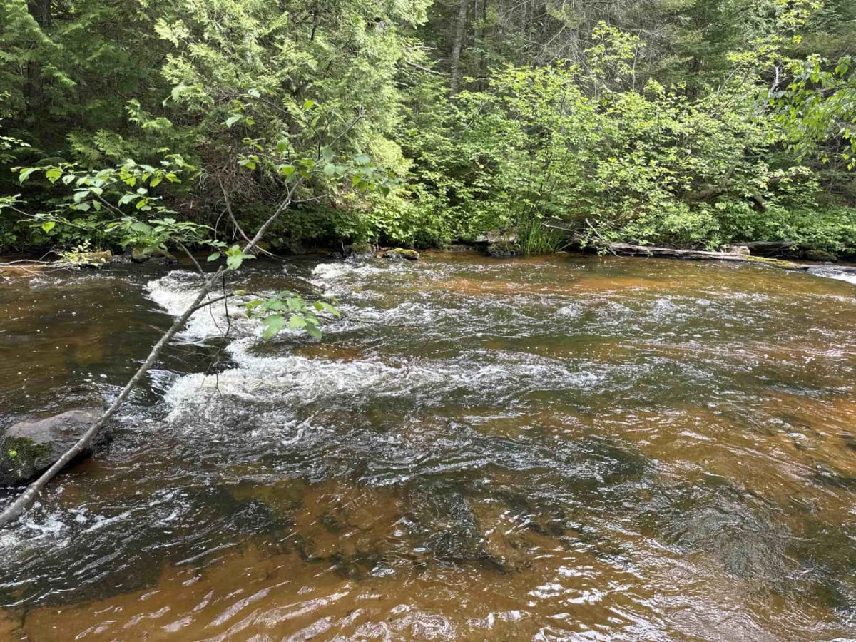 Rock Rapids spur photo 4