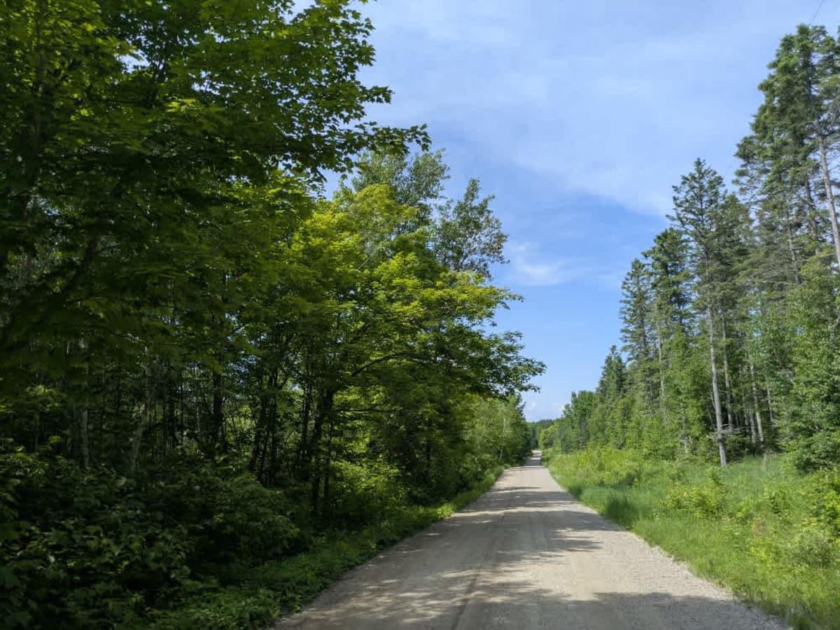 Etters Road trail photo