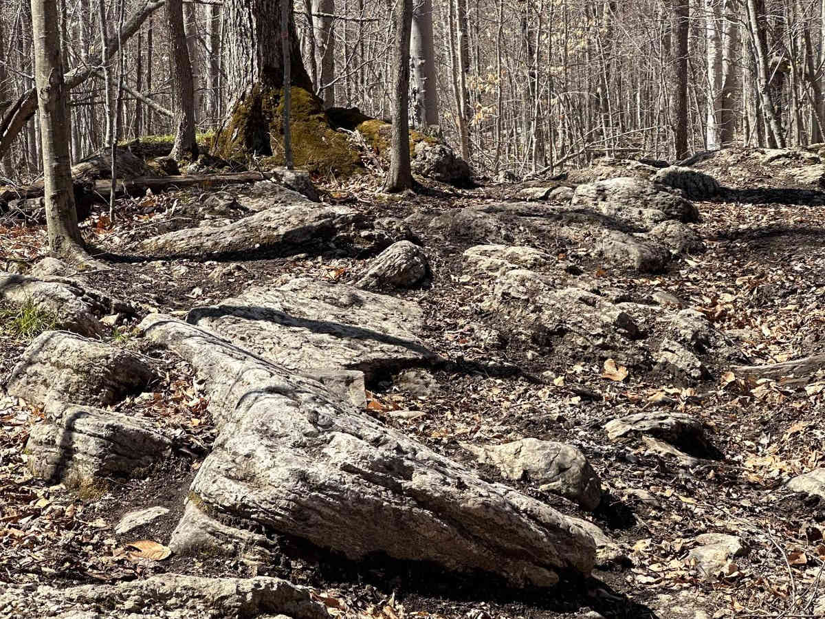 Rock Run trail photo