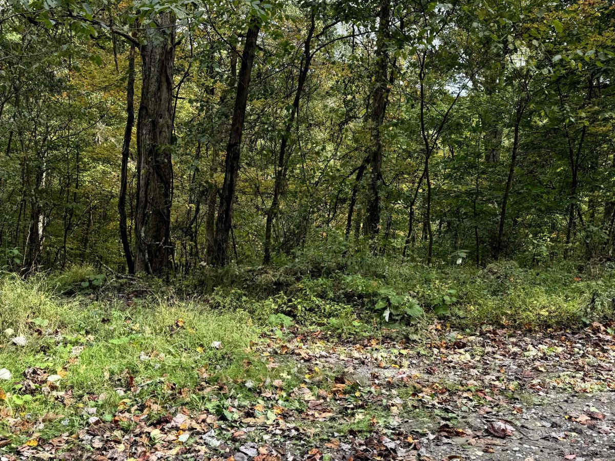 Cucumber Road Loop photo 2