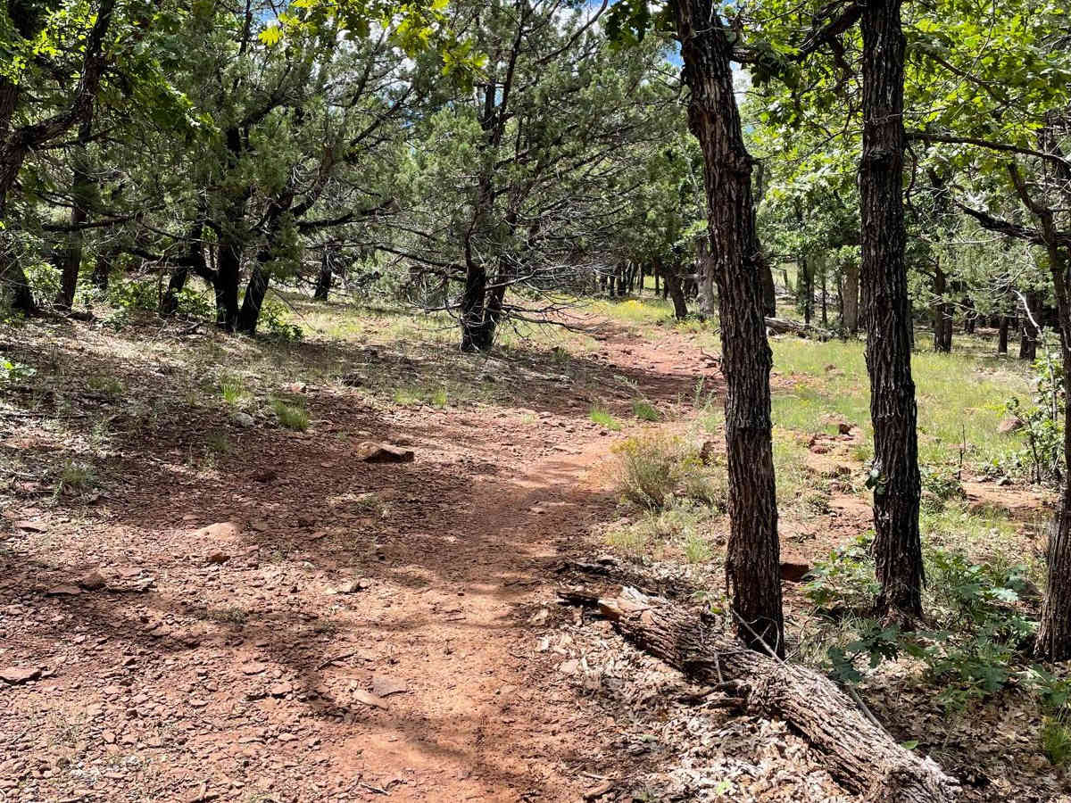 Scrub Oak Bypass photo 5