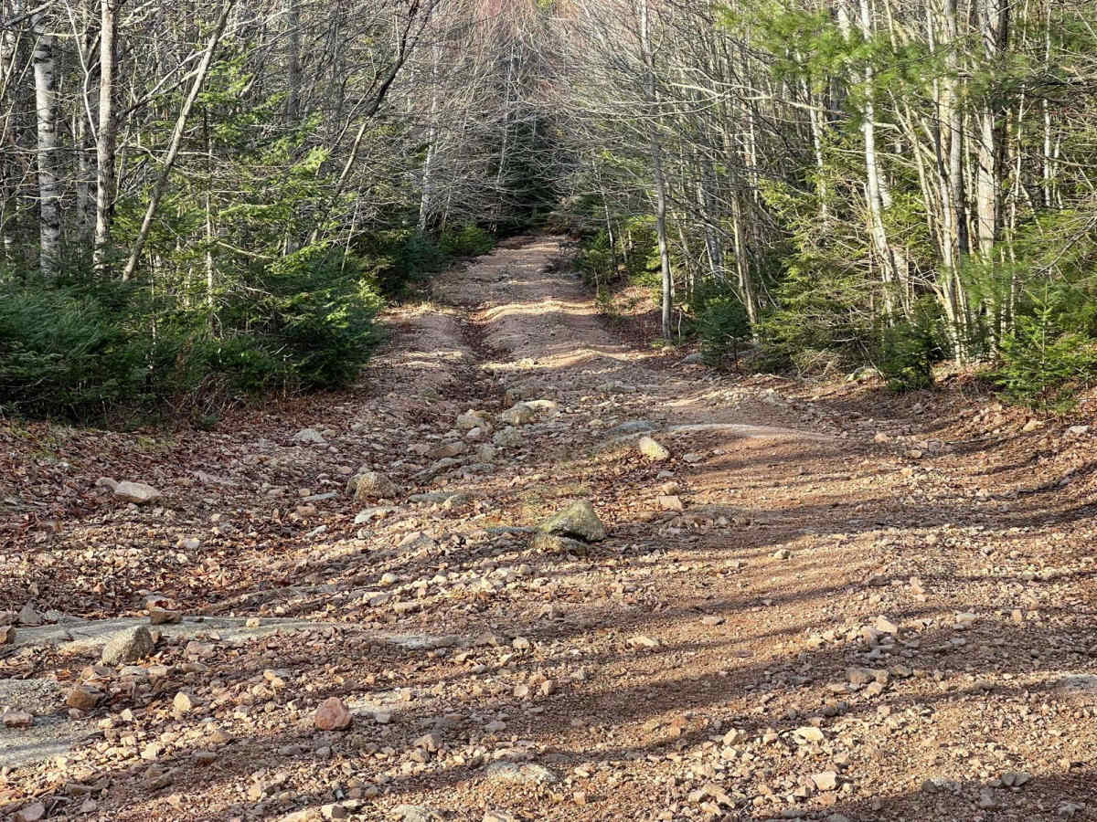 Airport Hill Trail photo 4