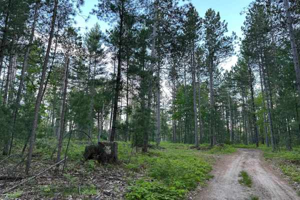Lake Dubonnet Trail