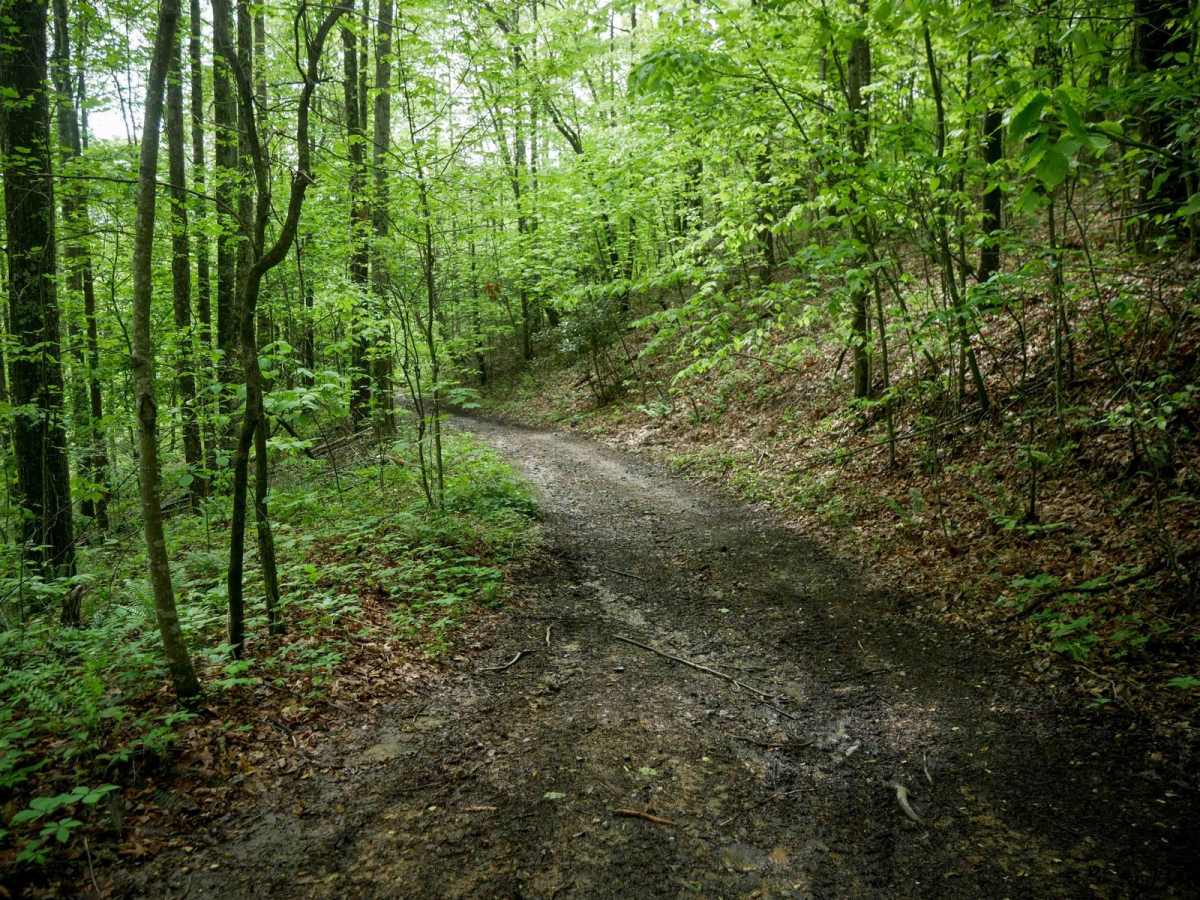 OP 16 trail photo