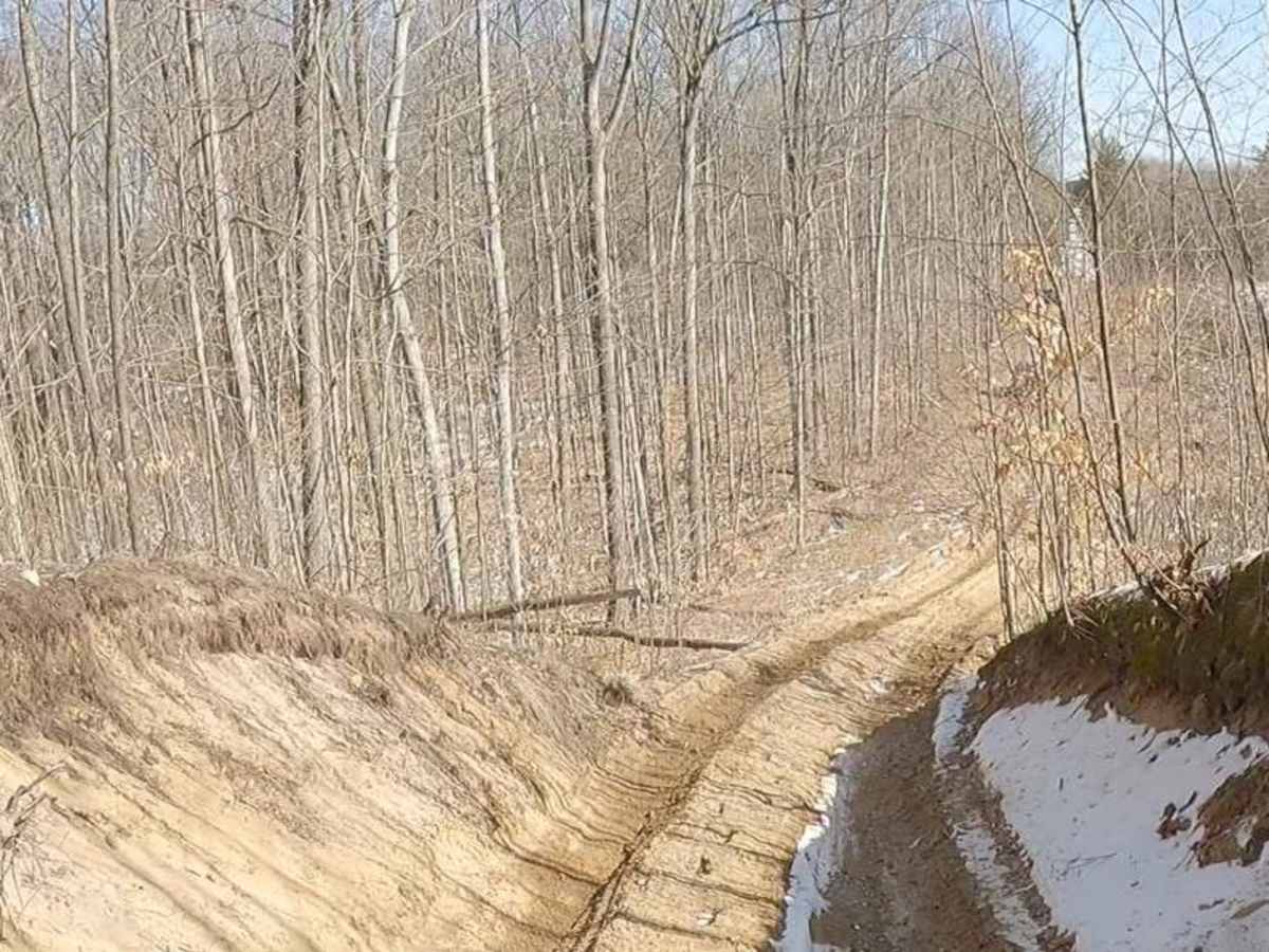 Portage Lake Fire Tower Trail photo 2