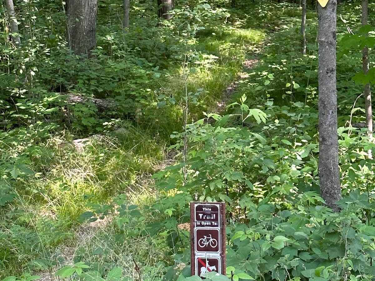 5134/Skiberian Drive photo 2
