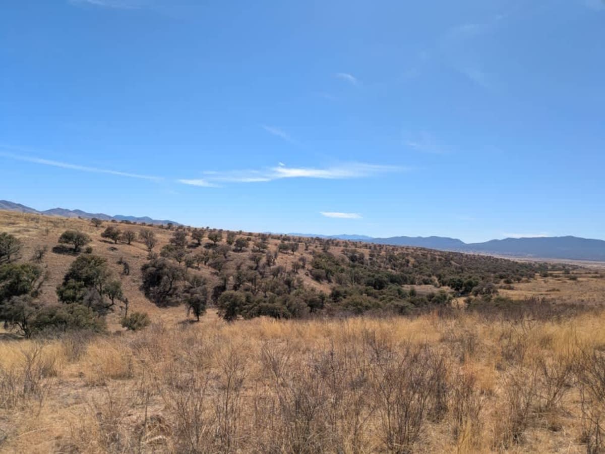 Max Tank Road photo 4