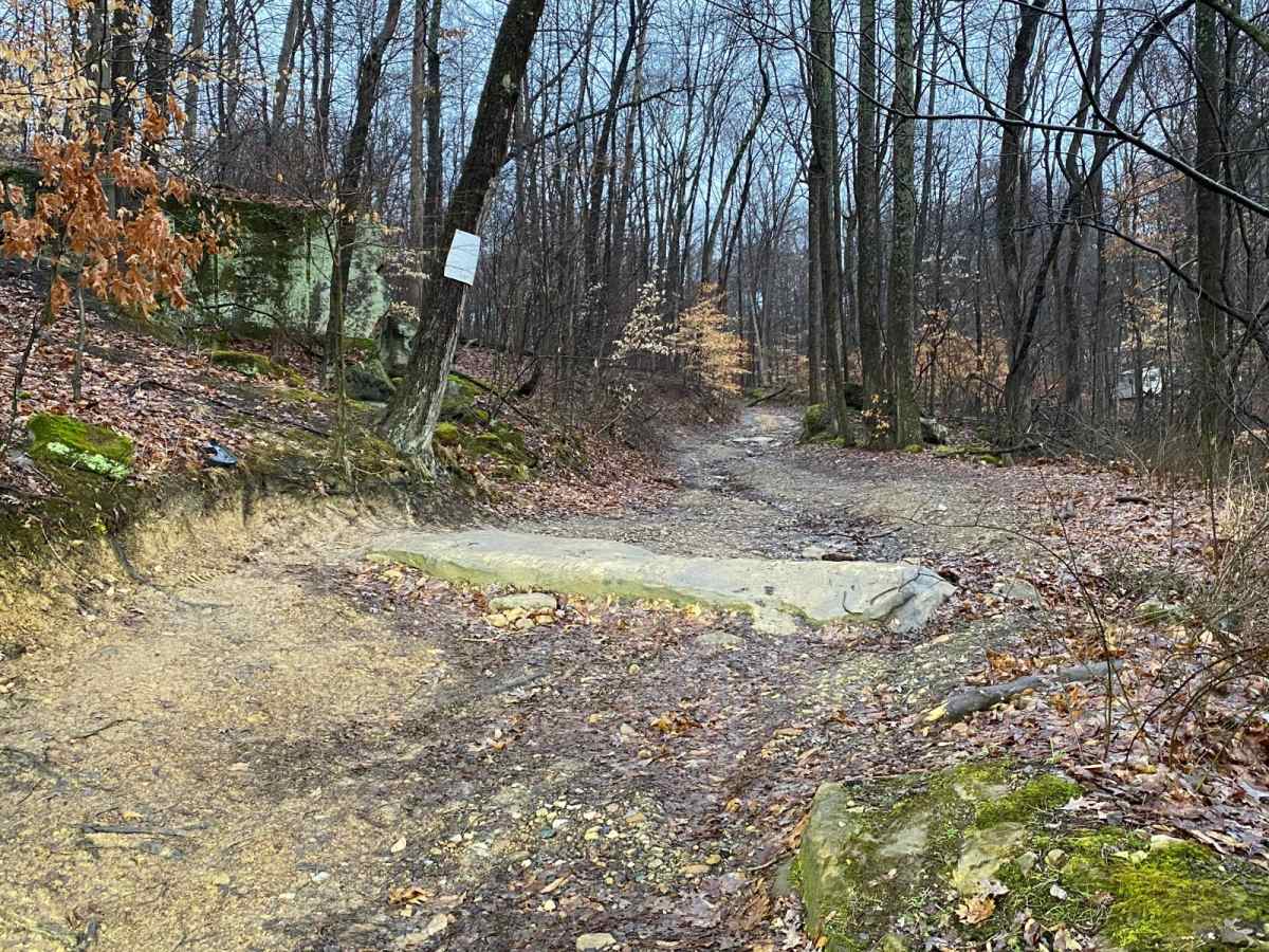Bats Nest to Sone Quarry photo 5