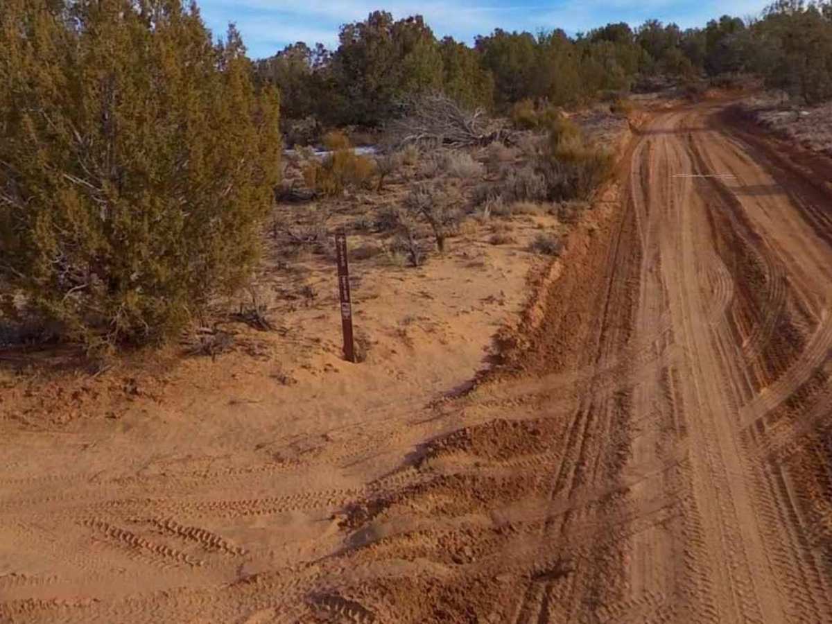 BLM100 photo 4