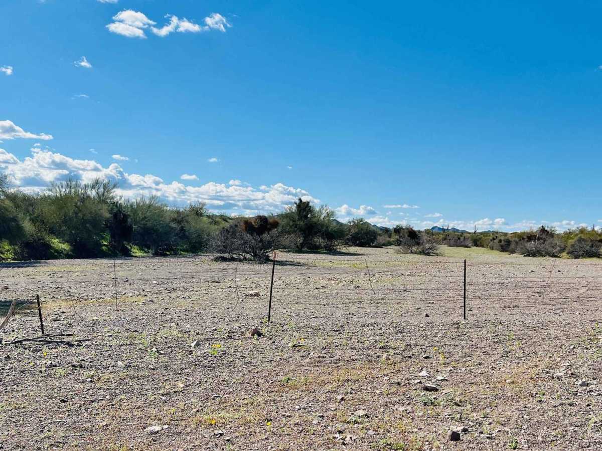 Coyote Wash West photo 5