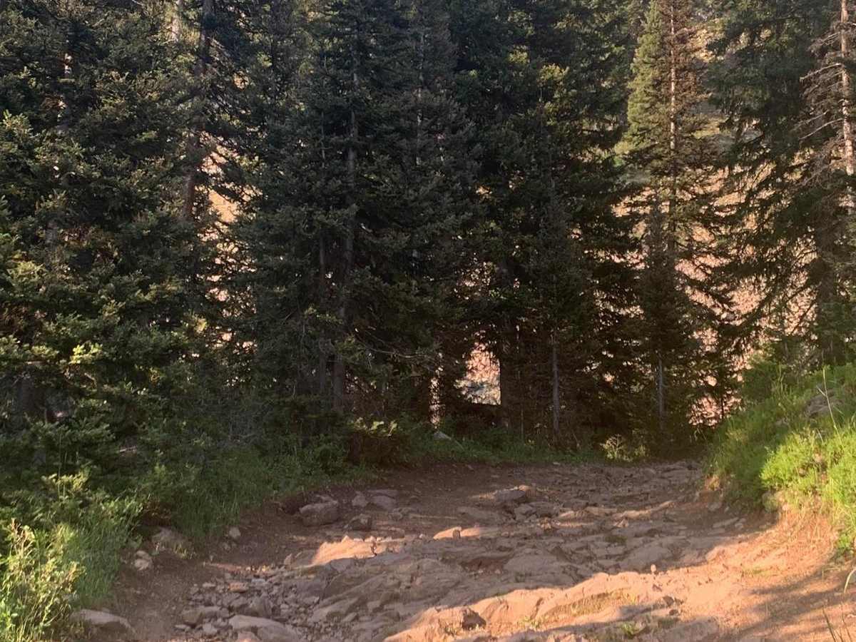 Dry Creek trail photo