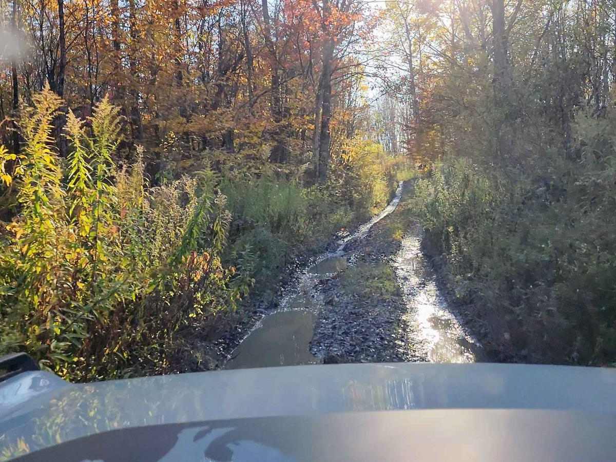 Hertz Road & Buck Hill Truck Trail photo 3