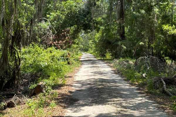 Black Point - Ceylon WMA