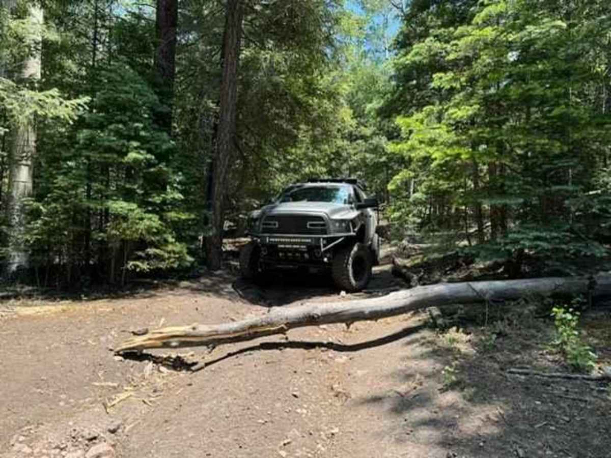 Meadow Loop photo 2