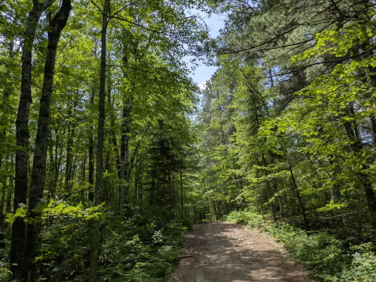 Crooked Lake Road photo 4