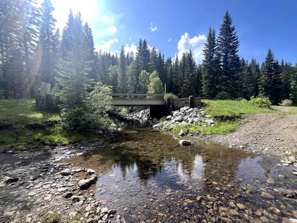 McLean Creek Trail trail photo