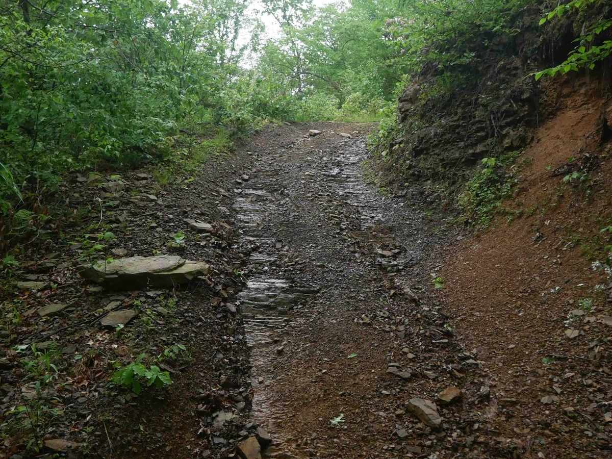 CC52 trail photo