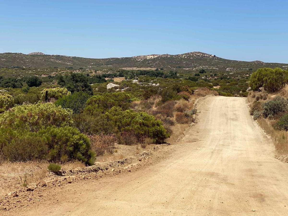 Old El Compadre Loop photo 6