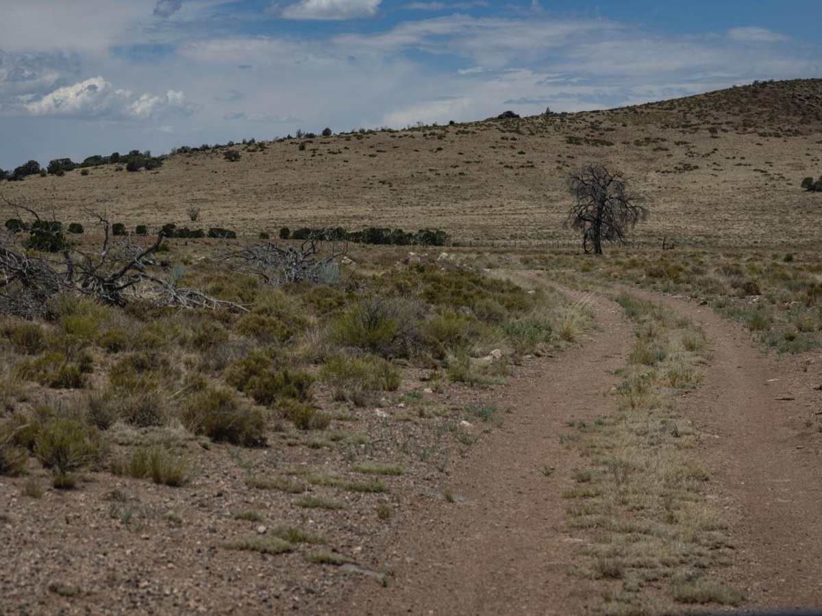 Antelope Run photo 5
