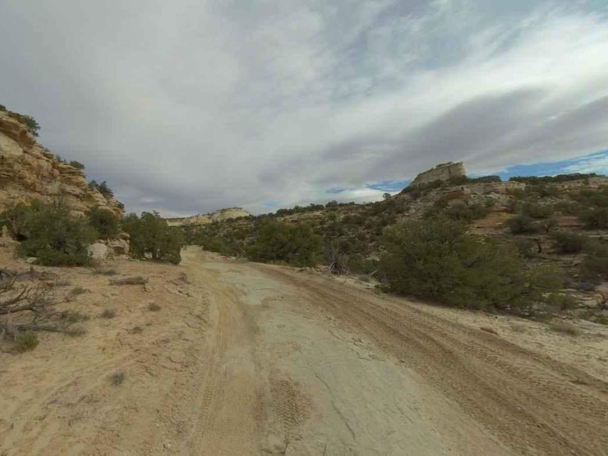 BLM639 photo 5