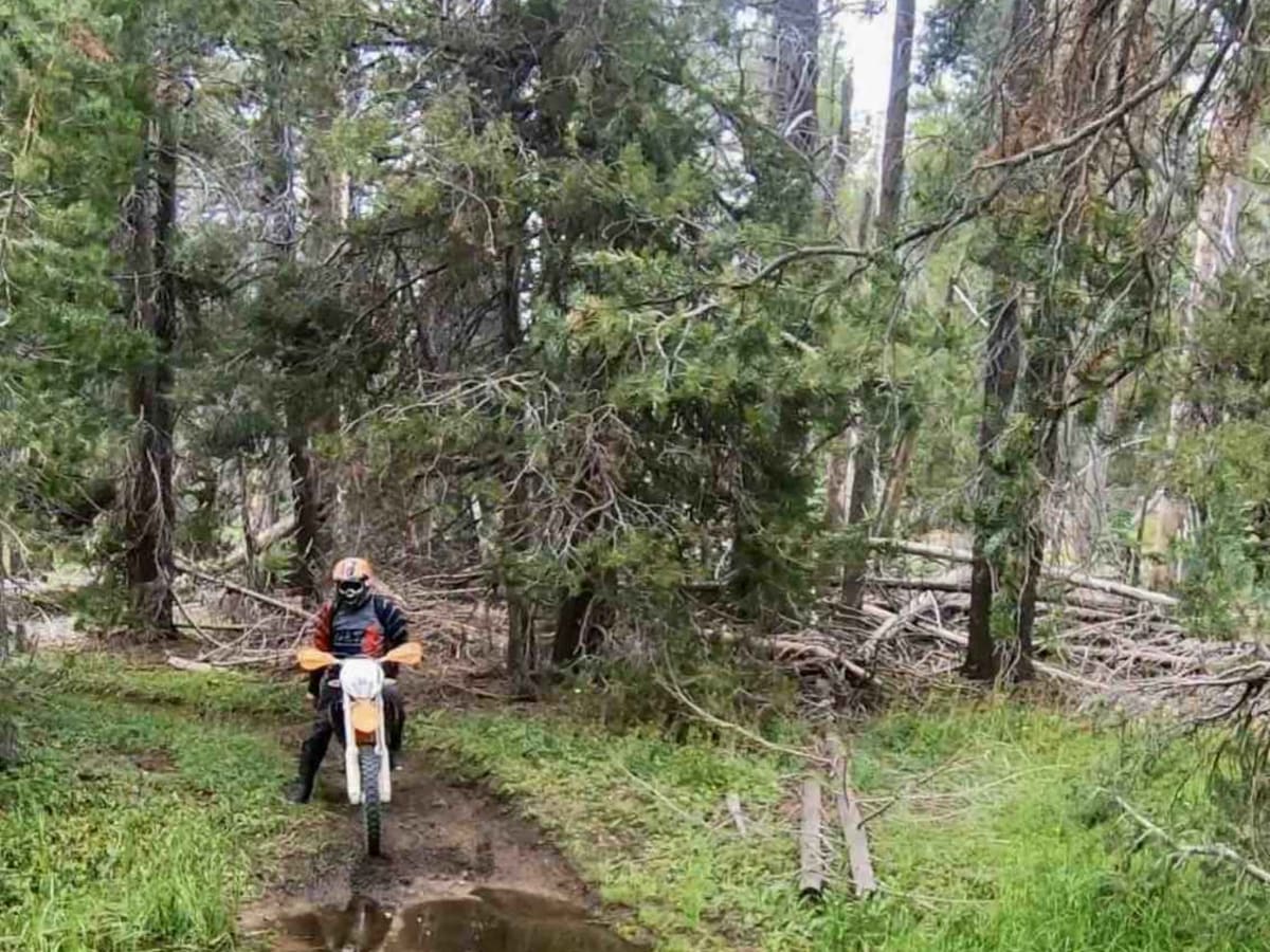 Trout Creek Trail photo 3