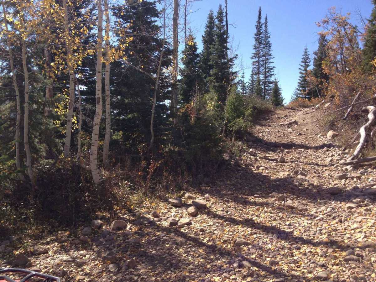 Miller Hill photo 2