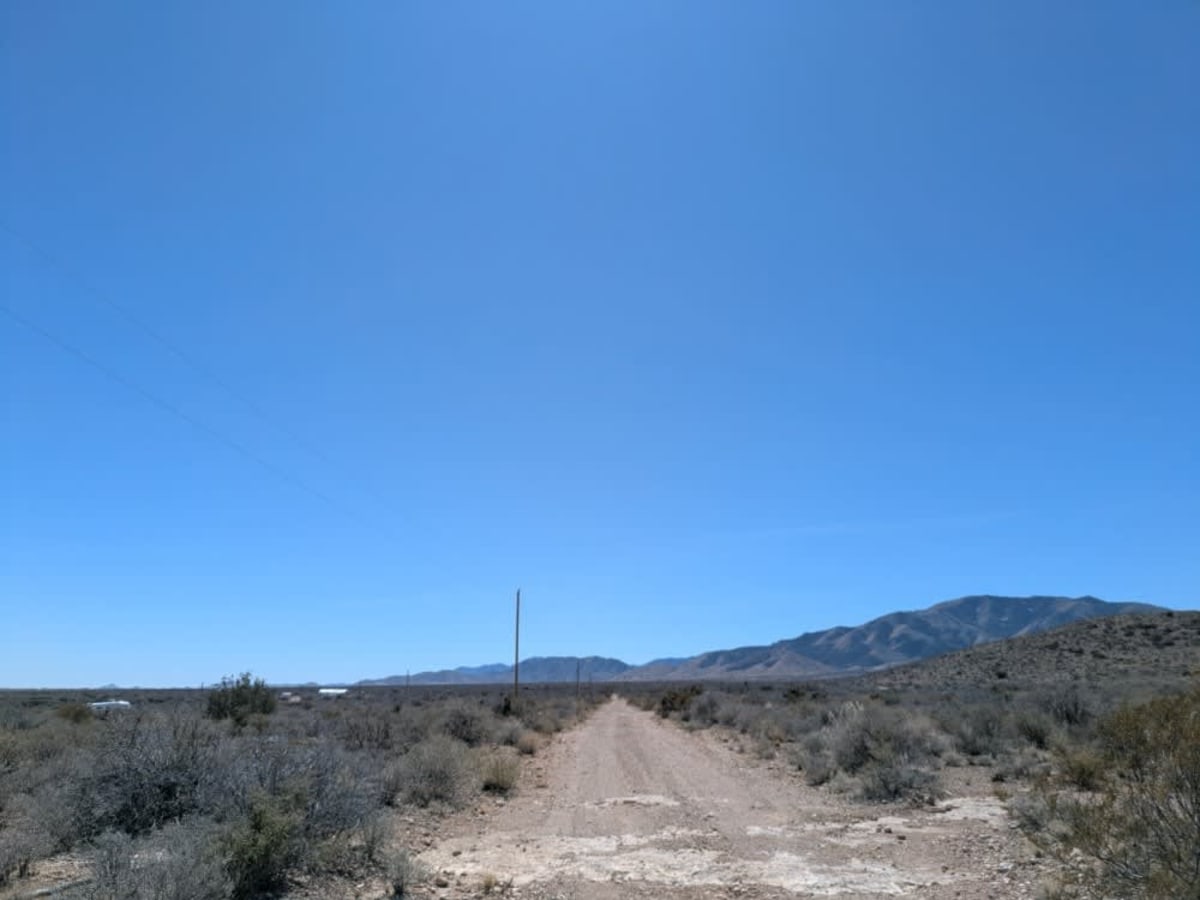 North Wilcox Road photo 3